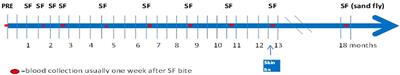 Immune response profiles from humans experimentally exposed to Phlebotomus duboscqi bites